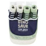 Baby Cotton Bib and Sock Set, Dinosaur Explorer
