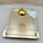 Rectangular Golden Acrylic Dessert Plate