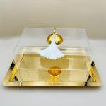 Rectangular Golden Acrylic Dessert Plate