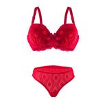 Lace Lingerie Set with Patterned Mesh, Underwired Bra, Satin Bow